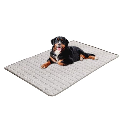 Mxshc Kühlmatte Für Hunde | Hundekühlmatte Für Innenbereich | Atmungsaktive Waschbare Matte 68X48 cm Bei Für Welpen Reise Garten Camping Innenbereich Mxshc Kühlmatte Für Hunde | Hundekühlmatte Für Innenbereich | Atmungsaktive Waschbare Matte 68X48 cm Bei Für Welpen Reise Garten Camping Innenbereich von Mxshc