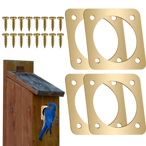 Mxshc Raubtierschutz aus Metall für Bluebird House, Raubtierschutz von Bluebird House - 4 Stück Vogelhaus-Lochschutz,Vogelhaus-Schutzgitter aus Kupfer, Metall-Vogelhaus-Lochschutz für Eastern Bluebird Mxshc Raubtierschutz aus Metall für Bluebird House, Raubtierschutz von Bluebird House - 4 Stück Vogelhaus-Lochschutz,Vogelhaus-Schutzgitter aus Kupfer, Metall-Vogelhaus-Lochschutz für Eastern Bluebird von Mxshc