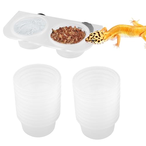 Mxshc Reptilien-Futterstation – Reptilien-Futterbox | Schlangen-Wasserbehälter leicht zu reinigen für Eidechsen, Schildkröten, Wasserschildkröten, -Terrarien, von Mxshc