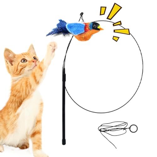 Mxshc Zwitscherndes Vogel-Katzenspielzeug | neckendes Spielzeug mit natürlichen Federn in Vogelform | Integrierter Bewegungsmelder Katzenspielzeug mit elastischem Seil für Tiergeschäft, Zuhause, Mxshc Zwitscherndes Vogel-Katzenspielzeug | neckendes Spielzeug mit natürlichen Federn in Vogelform | Integrierter Bewegungsmelder Katzenspielzeug mit elastischem Seil für Tiergeschäft, Zuhause, von Mxshc