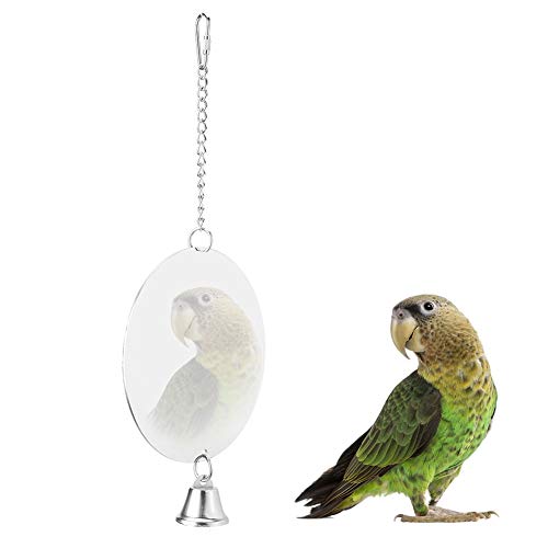 Mxtech Vogelspiegel, Vogelspielzeug, Edelstahl-Haustier-Vogelkäfigspiegel mit Glockenpapagei, der hängendes beißendes Spielzeug spielt(Vogelspiegel) von Mxtech