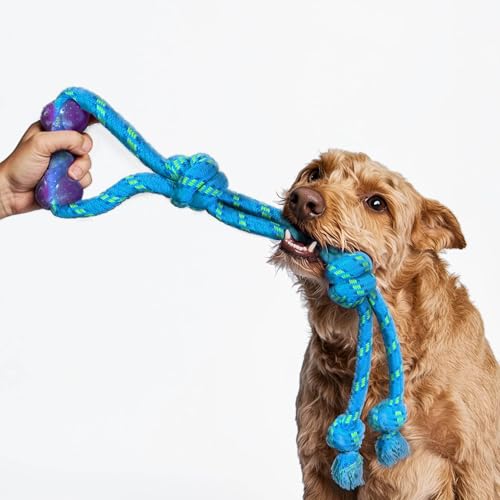 My Beastie Ruff Tug – Zahnseide Kauseil Zerren – Premium Bungee Seil Zerrspielzeug für Hunde – Interaktives Seilspielzeug (Mittelgroßer Hund) von My Beastie