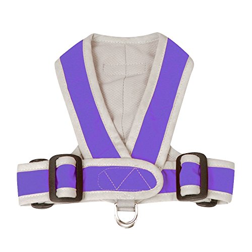 My Canine Kids 1101 Hundegeschirr aus Nylon, passgenau, verstellbar, Teetasse, leicht anzuziehen, verstellbar, XXXS, Violett My Canine Kids 1101 Hundegeschirr aus Nylon, passgenau, verstellbar, Teetasse, leicht anzuziehen, verstellbar, XXXS, Violett von My Canine Kids