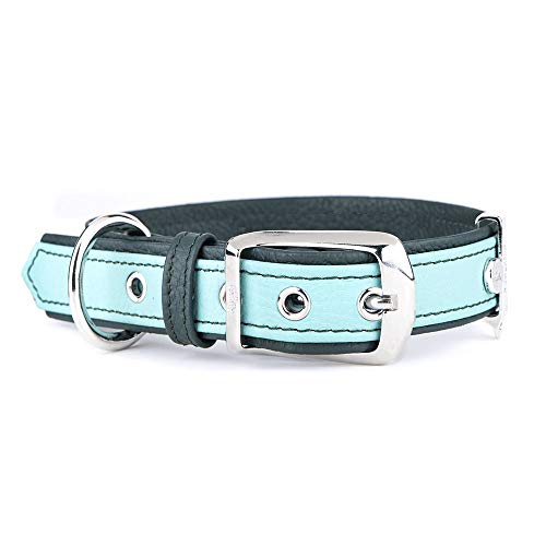 My Family Collare per Cane Regolabile in Vera Pelle Italiana Made in Italy, Finiture Metalliche in Bronzo Bianco, Confortevole e Resistente, Fatto a Mano, Collezione Firenze My Family Collare per Cane Regolabile in Vera Pelle Italiana Made in Italy, Finiture Metalliche in Bronzo Bianco, Confortevole e Resistente, Fatto a Mano, Collezione Firenze von My Family