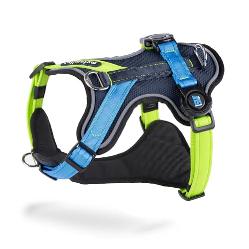 MyFamily Hundegeschirr aus Polyester, hellblau, hergestellt in Italien, personenbezogene Daten Ihres Hundes immer bei Ihnen, Verbindung mit NFC-Technologie, Modell H, Kollektion Memopet, Größe XL MyFamily Hundegeschirr aus Polyester, hellblau, hergestellt in Italien, personenbezogene Daten Ihres Hundes immer bei Ihnen, Verbindung mit NFC-Technologie, Modell H, Kollektion Memopet, Größe XL von My Family