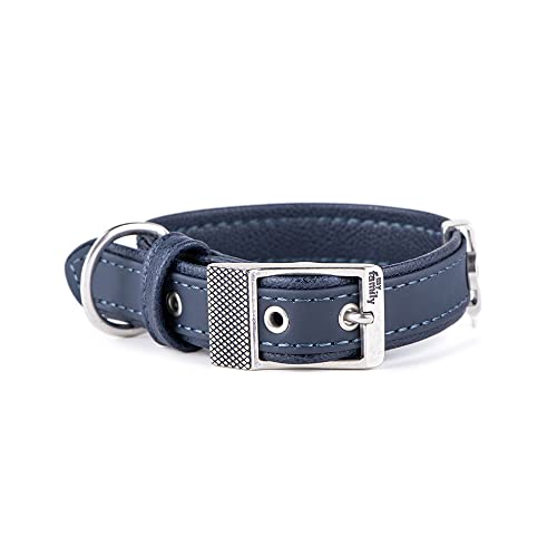 MyFamily Hundekragen in Italienisch verstellbar wie in Italien, Metall -Oberflächen im Alten Silber, bequem und resistent, handgefertigt, Bilbao -Sammlung MyFamily Hundekragen in Italienisch verstellbar wie in Italien, Metall -Oberflächen im Alten Silber, bequem und resistent, handgefertigt, Bilbao -Sammlung von My Family