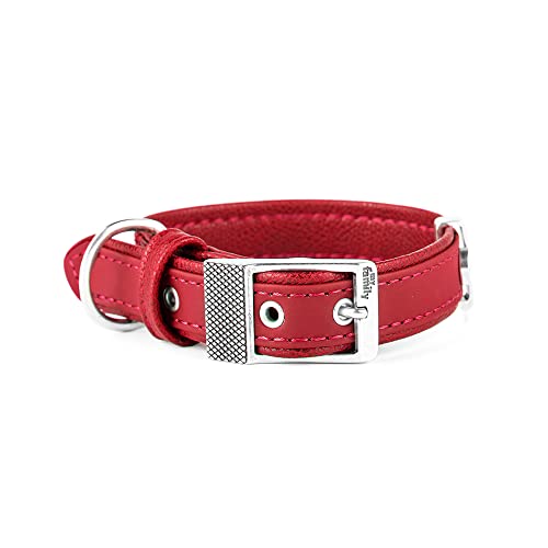 MyFamily Hundekragen in Italienisch verstellbar wie in Italien, Metall -Oberflächen in weißen Bronze, bequem und resistent, handgefertigt, Bilbao -Sammlung MyFamily Hundekragen in Italienisch verstellbar wie in Italien, Metall -Oberflächen in weißen Bronze, bequem und resistent, handgefertigt, Bilbao -Sammlung von My Family