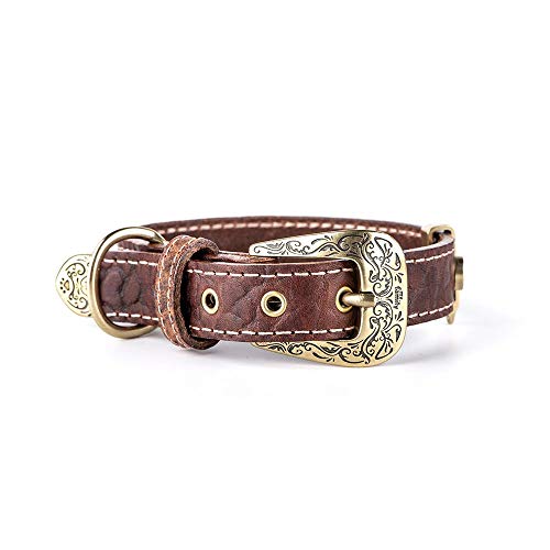 MyFamily Hundekragen in echtem italienischem Leder in Italien, Metall -Oberflächen in englischer Messing, bequem und resistent, handgefertigt, EL Paso Collection MyFamily Hundekragen in echtem italienischem Leder in Italien, Metall -Oberflächen in englischer Messing, bequem und resistent, handgefertigt, EL Paso Collection von My Family