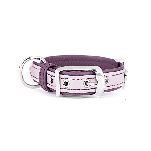 MyFamily Hundekragen in echtem italienischem Leder in Italien, Metall -Oberflächen in weißer Bronze, bequem und resistent, handgefertigt, Florence Collection MyFamily Hundekragen in echtem italienischem Leder in Italien, Metall -Oberflächen in weißer Bronze, bequem und resistent, handgefertigt, Florence Collection von My Family