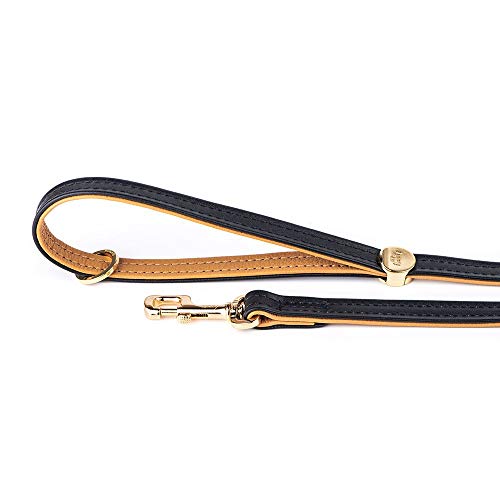 MyFamily Hundeleine pro Hund in echtem italienischem Leder in Italien, Metall -Oberflächen in weißen Bronze oder 24 Karat Goldplatten, praktisch und komfortabel, handgefertigt, Hermitage -Sammlung MyFamily Hundeleine pro Hund in echtem italienischem Leder in Italien, Metall -Oberflächen in weißen Bronze oder 24 Karat Goldplatten, praktisch und komfortabel, handgefertigt, Hermitage -Sammlung von My Family