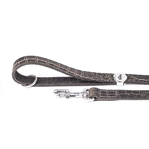 MyFamily Leine für Hund in echtem italienischem Leder in Italien, Metall -Oberflächen im Alten Silber, praktisch und resistent, handgefertigt, Tucson Collection MyFamily Leine für Hund in echtem italienischem Leder in Italien, Metall -Oberflächen im Alten Silber, praktisch und resistent, handgefertigt, Tucson Collection von My Family