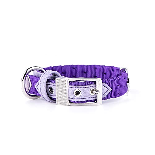 Myfamily Synthetisches Halsband Made in Italy West Point Kollektion Myfamily Synthetisches Halsband Made in Italy West Point Kollektion von My Family