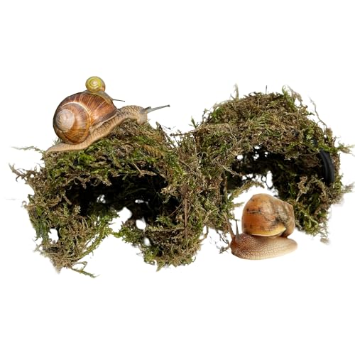 Schneckenversteck für Haustierland Schnecken Schneckenhaus - Natürliches Sphagnummoos Unterschlupf mit ungiftigem Kunststoffkern | Feuchtes Versteck für Schneckenterrarien | Weiches, schalenfestes Schneckenversteck für Haustierland Schnecken Schneckenhaus - Natürliches Sphagnummoos Unterschlupf mit ungiftigem Kunststoffkern | Feuchtes Versteck für Schneckenterrarien | Weiches, schalenfestes von My Happy Snails