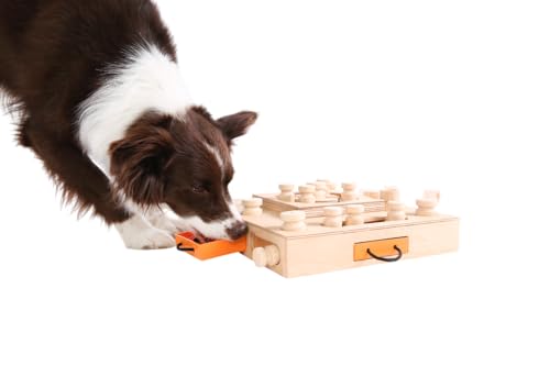 Turtle - My Intelligent Dogs Interaktives Hundespielzeug aus Holz Intelligentes Spielzeug für Hunde von My Intelligent Dogs