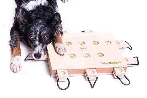 iPet - My Intelligent Dogs Interaktives Hundespielzeug aus Holz - Hundespielzeug kleine und große Hunde Spielzeug von My Intelligent Dogs