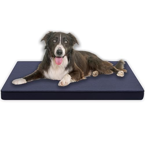 MyBestBuddy Hundematte Premium mit Vollschaum-Kern grau 120x80 cm XXL, Hundekissen mit flauschigem Stoffbezug - Öko-Tex 100-40°C waschbar - Hundebett für sehr große Hunde ca. 3 cm dick, 120 x 80 cm von MyBestBuddy