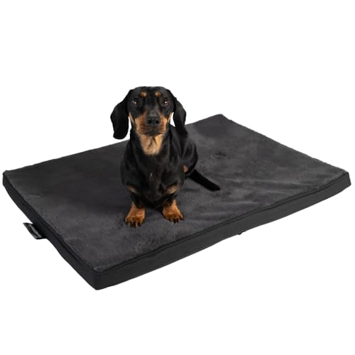 MyBestBuddy Hundematte Premium mit Vollschaum-Kern grau 70x50 cm M, Hundekissen mit flauschigem Stoffbezug - allergikerfreundlich - 40°C waschbar - Hundebett für kleine Hunde ca. 3 cm dick, 70 x 50 cm von MyBestBuddy