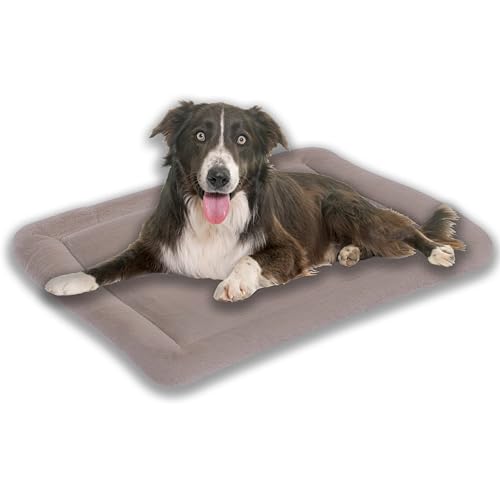 MyBestBuddy Hundekissen Komfort Hellbraun/beige 140x100 cm XXXL, allergikerfreundlich, rutschfest - 40°C waschbar mit flauschigem Bezug - Hundematte BZW Hundebett f. sehr große Hunde MyBestBuddy Hundekissen Komfort Hellbraun/beige 140x100 cm XXXL, allergikerfreundlich, rutschfest - 40°C waschbar mit flauschigem Bezug - Hundematte BZW Hundebett f. sehr große Hunde von MyBestBuddy