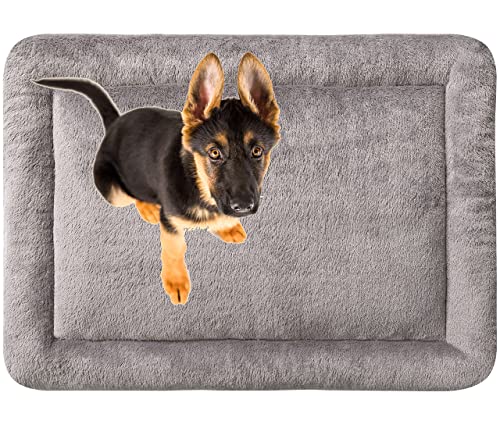 MyBestBuddy Hundekissen Komfort grau 80x60 cm L, allergikerfreundlich (100% Polyester), rutschfest - 40°C waschbar mit flauschigem Stoffbezug - Hundematte BZW. Hundebett für mittelgroße Hunde von MyBestBuddy