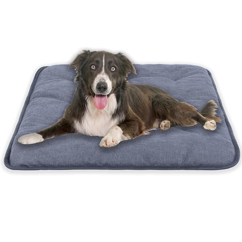 MyBestBuddy Hundekissen Pik grau 80x60 cm L, allergikerfreundlich (100% Polyester), rutschfest - 40°C waschbar mit flauschigem Stoffbezug - Hundematte BZW. Hundebett für mittelgroße Hunde, 80 x 60 cm von MyBestBuddy