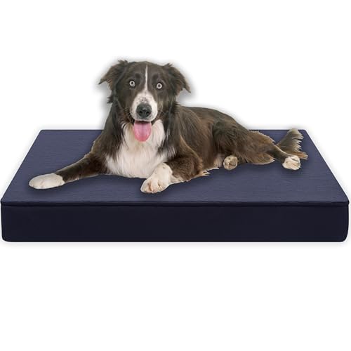 MyBestBuddy Hundekissen Premium mit 8 cm Vollschaum-Kern grau 120x80 cm XXL, Hundebett mit flauschigem Stoffbezug - 40°C waschbar - Hundematte für sehr große Hunde ca. 8 cm dick, 120 x 80 cm von MyBestBuddy