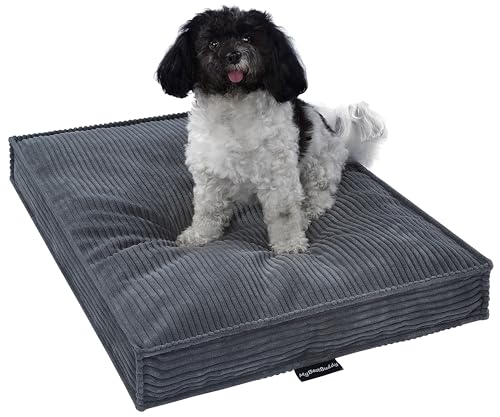 MyBestBuddy Hundekissen Visco grau 60x40 cm POSO S mit Viscoseschaum und Komfortschaum-Flocken, 40°C waschbar mit flauschigem Bezug - Hundebett/Haustierbett für kleine Hunde oder Katzen, 60 x 40 cm von MyBestBuddy