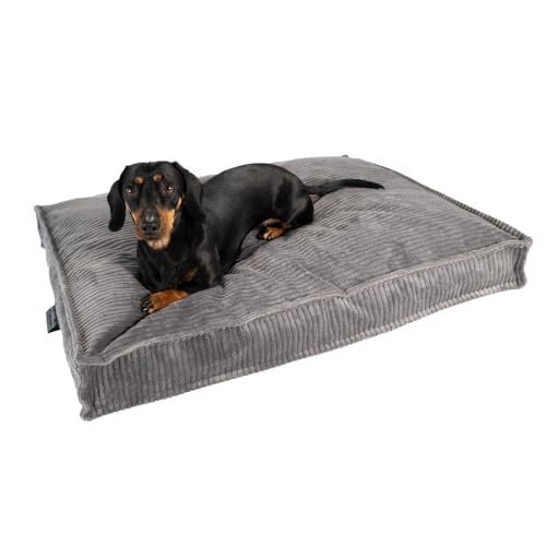 MyBestBuddy Hundekissen Visco grau 60x40 cm S mit POSO-Cord Stoff mit Viscoseschaum und Komfortschaum-Flocken, 40°C waschbar - Hundebett/Haustierbett für kleine Hunde oder Katzen, 60 x 40 cm von MyBestBuddy