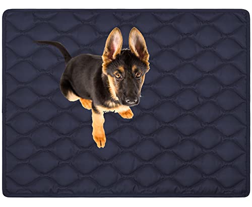 MyBestBuddy Hundematte Oxford wasserfest 140x100 cm XXL, Outdoor, schmutzabweisend und 40°C waschbar - Hundebett für sehr große Hunde, 140 x 100 cm MyBestBuddy Hundematte Oxford wasserfest 140x100 cm XXL, Outdoor, schmutzabweisend und 40°C waschbar - Hundebett für sehr große Hunde, 140 x 100 cm von MyBestBuddy