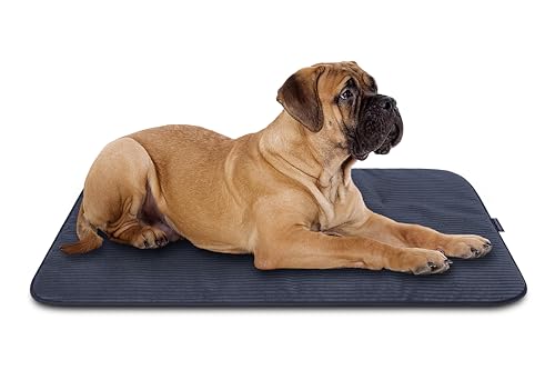 MyBestBuddy Hundematte grau Basic 120x70 cm XL mit weichem Stoff extra für Haustiere - 40°C waschbar, allergikerfreundlich - Hundekissen BZW. Hundebett für sehr große Hunde, 120 x 70 cm von MyBestBuddy