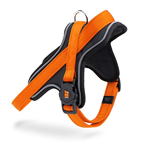 9042 Orange Nylon Memopet, 1,6 cm, Größe S von My Family