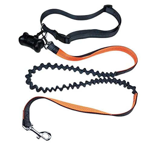 Haustier Leine Hund Laufen Reflektierendes Band Elastisches passendes Seil für kleine und mittlere Hunde mit Mülltrenner Haustier Leine Hund Laufen Reflektierendes Band Elastisches passendes Seil für kleine und mittlere Hunde mit Mülltrenner von MyHaing