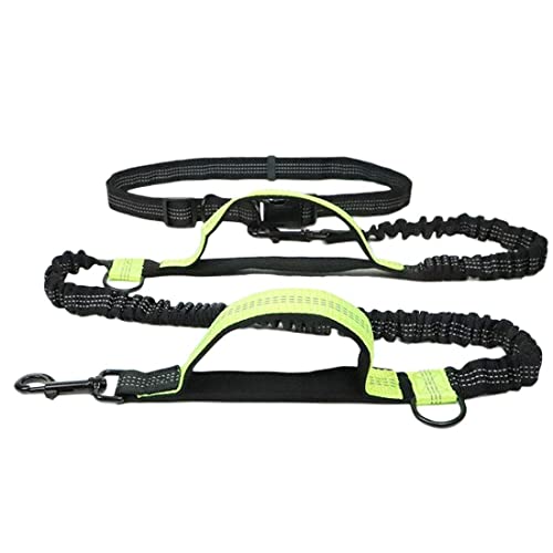 Haustier Traktionsseil im Freien Laufendes Reflektierendes doppeltes teleskopisches Hundeseil Hundekette Traktionsseil Haustier Traktionsseil im Freien Laufendes Reflektierendes doppeltes teleskopisches Hundeseil Hundekette Traktionsseil von MyHaing