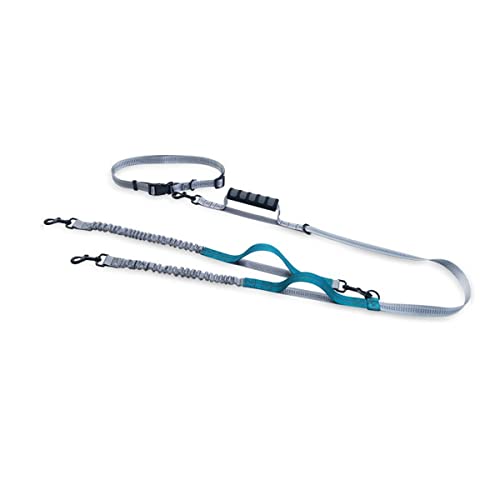 MyHaing Multifunktionales Laufen Reflektierendes Band Hund Traktion Seil Doppel End Hund Traktion Seil MyHaing Multifunktionales Laufen Reflektierendes Band Hund Traktion Seil Doppel End Hund Traktion Seil von MyHaing