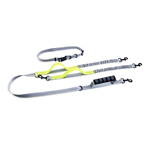 Multifunktionales Laufen Reflektierendes Band Hund Traktion Seil Doppel End Hund Traktion Seil Multifunktionales Laufen Reflektierendes Band Hund Traktion Seil Doppel End Hund Traktion Seil von MyHaing