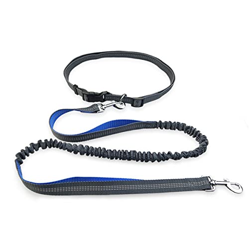 Pet Leash Dog Running Reflective Strap Elastisches passendes Seil für kleine und mittlere Hunde Pet Leash Dog Running Reflective Strap Elastisches passendes Seil für kleine und mittlere Hunde von MyHaing