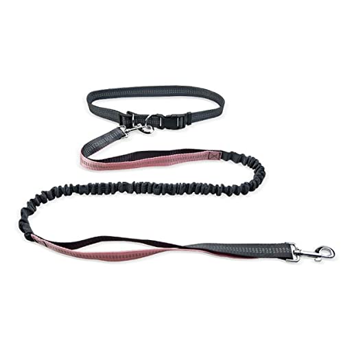 Pet Leash Dog Running Reflective Strap Elastisches passendes Seil für kleine und mittlere Hunde von MyHaing