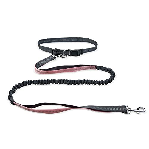 MyHaing Pet Leash Dog Running Reflective Strap Elastisches passendes Seil für kleine und mittlere Hunde MyHaing Pet Leash Dog Running Reflective Strap Elastisches passendes Seil für kleine und mittlere Hunde von MyHaing