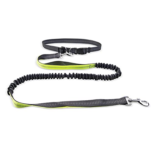 MyHaing Pet Leash Dog Running Reflective Strap Elastisches passendes Seil für kleine und mittlere Hunde von MyHaing