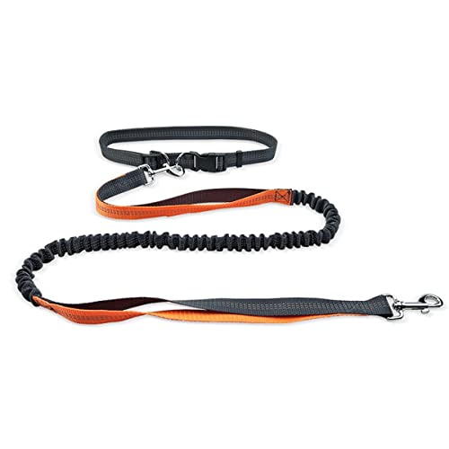 MyHaing Pet Leash Dog Running Reflective Strap Elastisches passendes Seil für kleine und mittlere Hunde von MyHaing