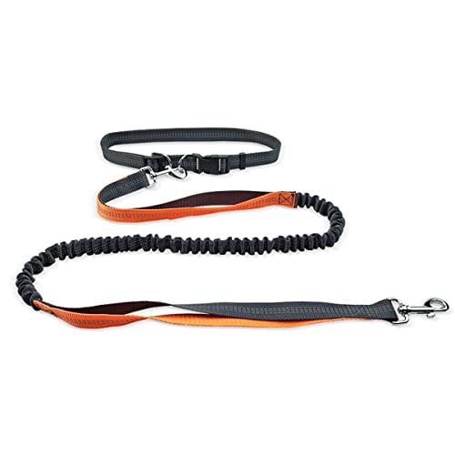 Pet Leash Dog Running Reflective Strap Elastisches passendes Seil für kleine und mittlere Hunde Pet Leash Dog Running Reflective Strap Elastisches passendes Seil für kleine und mittlere Hunde von MyHaing