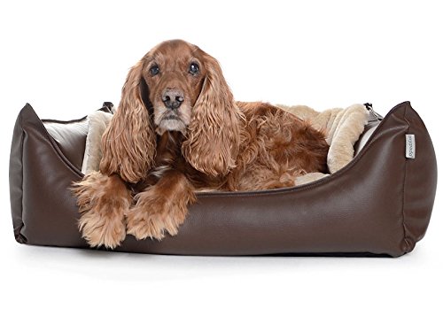 MyPado / ridge-shop.de Hundebett Dreamcollection Kunstleder 110 x 90 cm, orthopädischer Visco Schaumstoff MyPado / ridge-shop.de Hundebett Dreamcollection Kunstleder 110 x 90 cm, orthopädischer Visco Schaumstoff von MyPado / ridge-shop.de