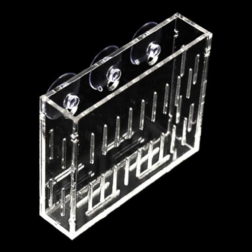 Acrylvase mit Saugnapf, transparent, zum Aufhängen an der Wand, Schaumstoffkugel Acrylvase mit Saugnapf, transparent, zum Aufhängen an der Wand, Schaumstoffkugel von Myazs