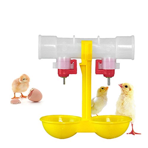 Hängende Geflügel-Trinkbewässerungsbecher für Huhn/Wachteln Wasserbecher Trinker Automatisches Huhn Wasserbecher Waterer Kit Huhn Huhn Bewässerung Geflügel Waterer Huhn Supplies Huhn Wasserbecher Huhn von Myazs