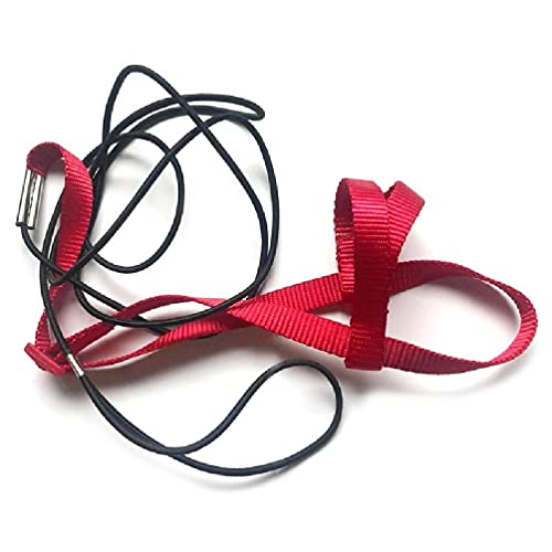 Papagei Vogel Geschirr Leine Outdoor Fliegen Traktion Gurte Band Einstellbar Anti-Biss Training Seil Pet Supplies Für Welpen Strohseil Handgewebte Vogelnest Vogel Liefert Für Wellensittiche Papagei Vogel Geschirr Leine Outdoor Fliegen Traktion Gurte Band Einstellbar Anti-Biss Training Seil Pet Supplies Für Welpen Strohseil Handgewebte Vogelnest Vogel Liefert Für Wellensittiche von Myazs