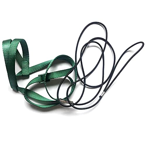 Papagei Vogel Geschirr Leine Outdoor Fliegen Traktion Gurte Band Einstellbar Anti-Biss Training Seil Pet Supplies Für Welpen Strohseil Handgewebte Vogelnest Vogel Liefert Für Wellensittiche Papagei Vogel Geschirr Leine Outdoor Fliegen Traktion Gurte Band Einstellbar Anti-Biss Training Seil Pet Supplies Für Welpen Strohseil Handgewebte Vogelnest Vogel Liefert Für Wellensittiche von Myazs