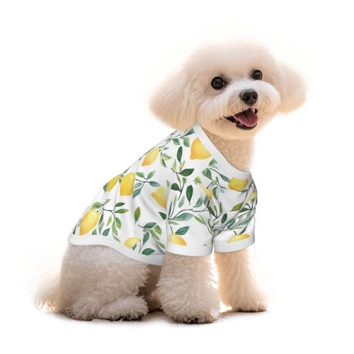 Myfsucce Hundebekleidung für kleine Hunde, Zitronenblätter, Zweig, Hunde-Shirts für Jungen, Mädchen, Welpen, Haustiere, Katzen, Sommer, passend für 1,8–2,9 kg Myfsucce Hundebekleidung für kleine Hunde, Zitronenblätter, Zweig, Hunde-Shirts für Jungen, Mädchen, Welpen, Haustiere, Katzen, Sommer, passend für 1,8–2,9 kg von Myfsucce