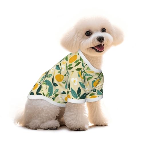 Myfsucce Hundebekleidung für kleine Hunde, Zitronenmuster, für Jungen, Mädchen, Welpen, Haustiere, Katzen, Sommergröße, 2,9–4,5 kg Myfsucce Hundebekleidung für kleine Hunde, Zitronenmuster, für Jungen, Mädchen, Welpen, Haustiere, Katzen, Sommergröße, 2,9–4,5 kg von Myfsucce