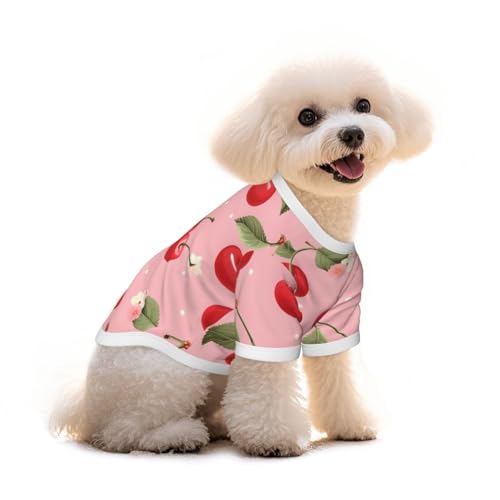 Myfsucce Hundebekleidung für kleine Hunde, blaue Schmetterlinge, für Jungen, Mädchen, Welpen, Haustiere, Katzen, Sommer, passend für 1,8–7,3 kg Myfsucce Hundebekleidung für kleine Hunde, blaue Schmetterlinge, für Jungen, Mädchen, Welpen, Haustiere, Katzen, Sommer, passend für 1,8–7,3 kg von Myfsucce