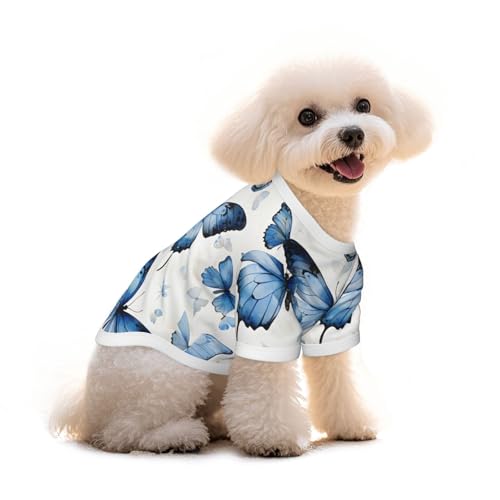 Myfsucce Hundebekleidung für kleine Hunde, blaues Schmetterlingsmuster, Hunde-Shirts für Jungen, Mädchen, Welpen, Haustiere, Katzen, Sommer, passend für 2,9–4,5 kg Myfsucce Hundebekleidung für kleine Hunde, blaues Schmetterlingsmuster, Hunde-Shirts für Jungen, Mädchen, Welpen, Haustiere, Katzen, Sommer, passend für 2,9–4,5 kg von Myfsucce