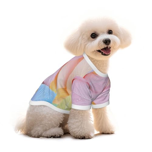 Myfsucce Hundebekleidung für kleine Hunde, bunte Blätter, Wassertropfen, Hunde-Shirts für Jungen, Mädchen, Welpen, Haustiere, Katzen, Sommer, passend für 1,8–2,9 kg Myfsucce Hundebekleidung für kleine Hunde, bunte Blätter, Wassertropfen, Hunde-Shirts für Jungen, Mädchen, Welpen, Haustiere, Katzen, Sommer, passend für 1,8–2,9 kg von Myfsucce